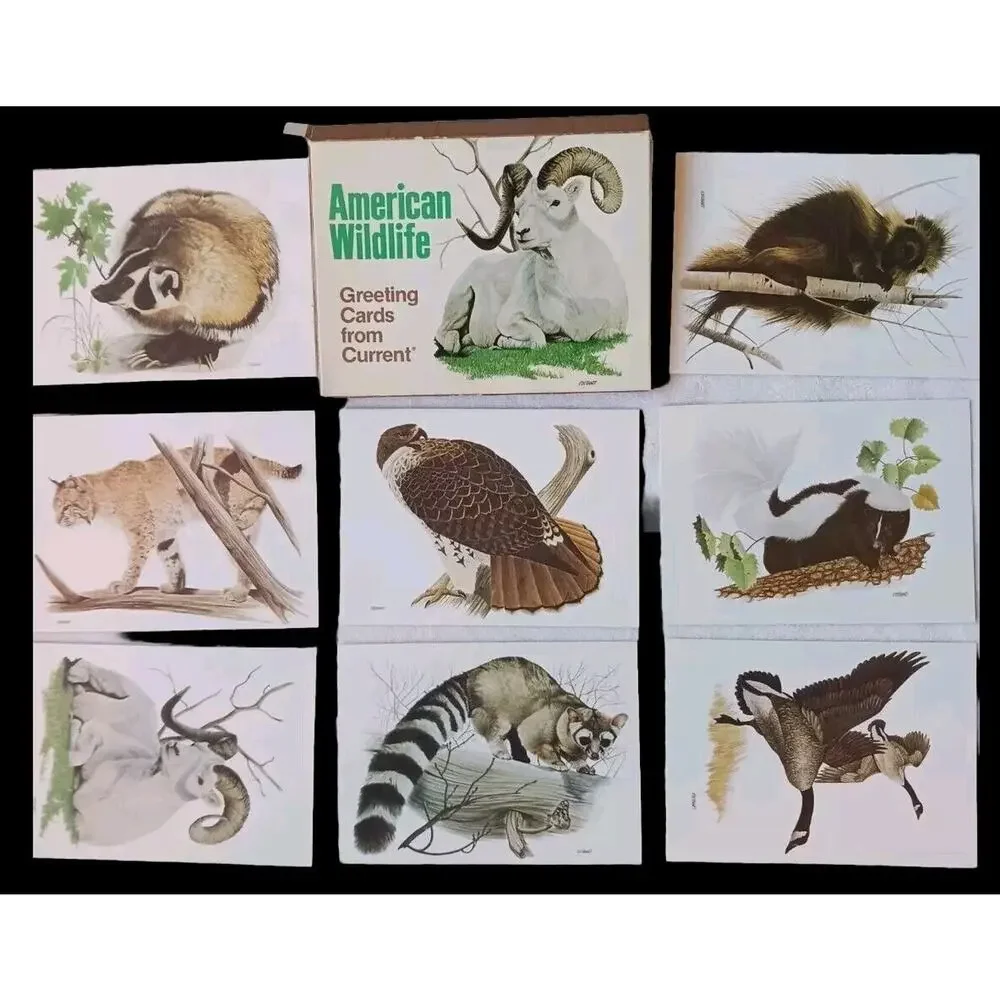 1980‎ American Wildlife Greeting 8 Cards From Current Vintage w Envelopes & Box